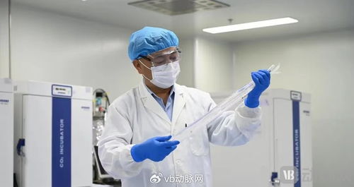 國產(chǎn)生物型人工血管獲創(chuàng)新通道認可，心血管治療迎來新突破